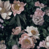 New Dawn Rose 7234